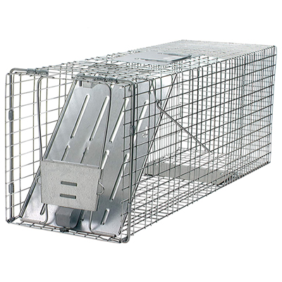 Animal Traps